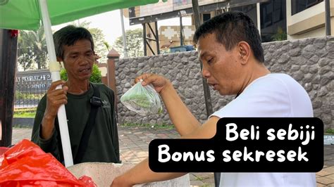 Berapa Harga Biji Kedelai Edamame Ya Youtube