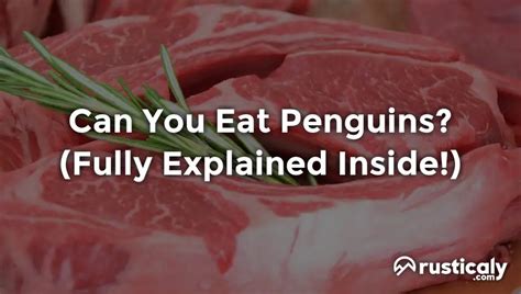 eat penguins heres