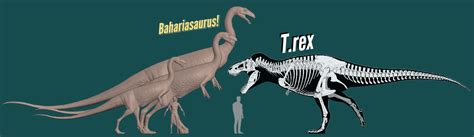 Bahariasaurus Dinosaur