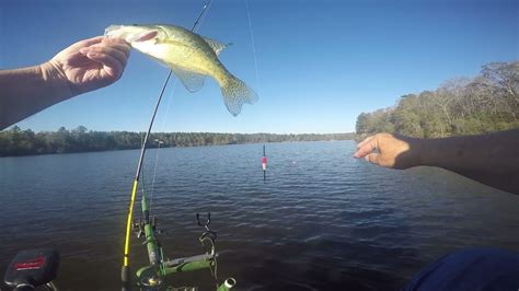 Crappie Fishing On A Windy Cold Day The Livescope Came Through Found