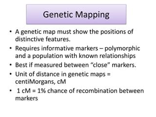 Gene mapping methods | PPT