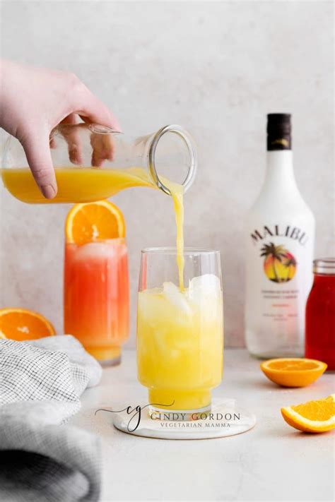 Sex On The Beach Drink Recipe Malibu Vegetarian Mamma