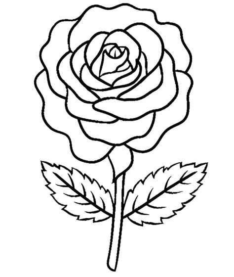 Desenhos De Uma Rosa Muito Simples Para Colorir E Imprimir