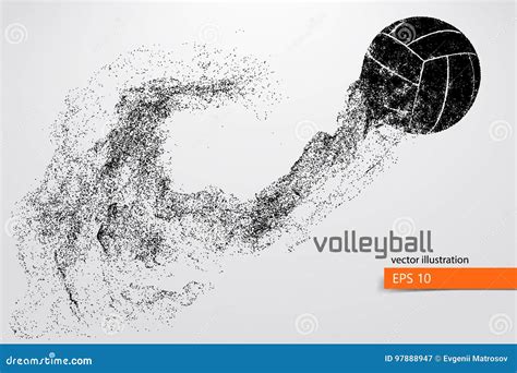 Schattenbild Des Volleyballballs Vektor Abbildung Illustration Von