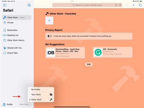 Come Utilizzare I Profili Safari Su Iphone Ipad E Mac The Digital News