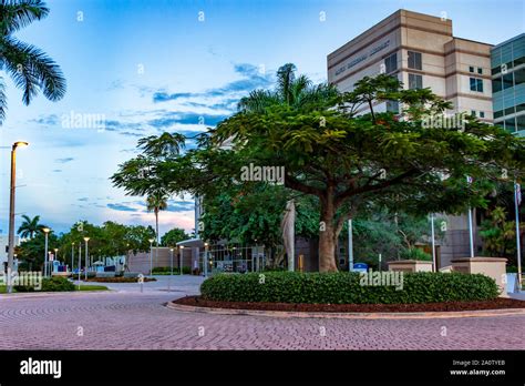 Nsu campus hi-res stock photography and images - Alamy