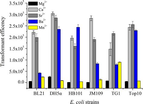 The Transformation Efficiency Of E Coli Strain Treated By Different