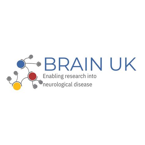 Our Funded Initiatives Brain Tumour Research