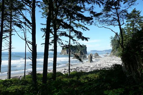 Ruby Beach Washington - Free photo on Pixabay