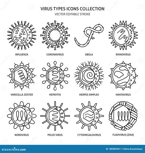 Human Viruses Icon Set In Thin Line Style Stock Illustration