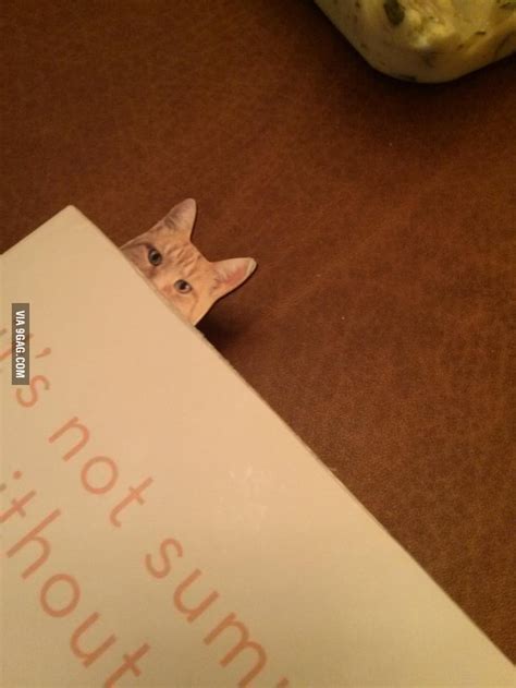 Hilarious Bookmark Gag