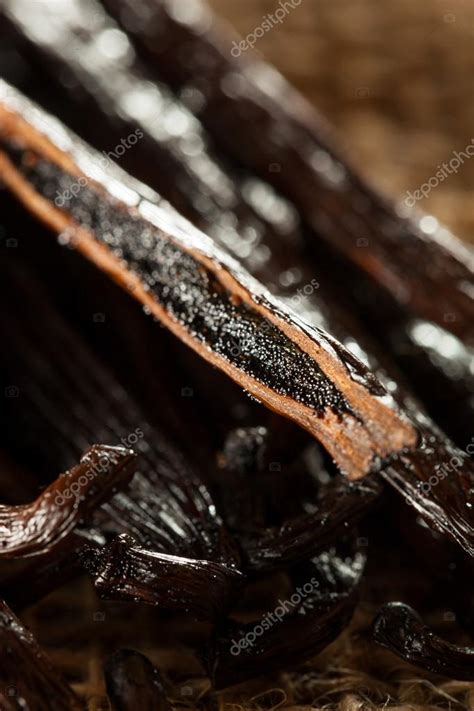 Raw Organic Vanilla Beans ⬇ Stock Photo, Image by © bhofack2 #73719297