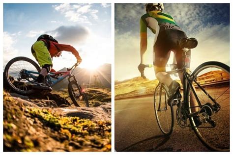 Road Bike Vs. Mountain Bike - Bike Smarts