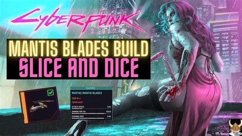 Cyberpunk 2077 Mantis Blades Cyberpsycho Build Guide SUPER OP AND FUN