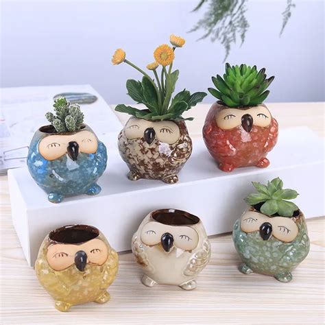 Mini Vaso De Plantas Suculentas Cacto Coruja Vasos Plantadores Jardim