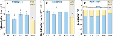 Denitrifying activity and N2O production in the plastisphere and bulk ... 
