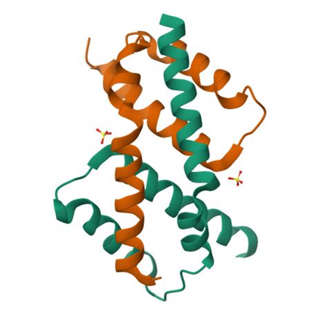 RCSB PDB - 8SPZ: Crystal structure of Bax core domain BH3-groove dimer ... 