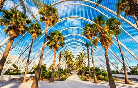 Donde Alojarse En Valencia Mejores Hoteles Hostales Airbnb