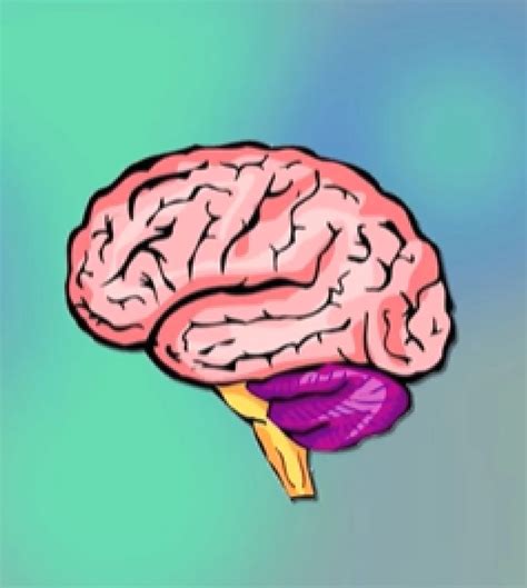 How To Make A Brain Hat, Part Two | Momentous Institute