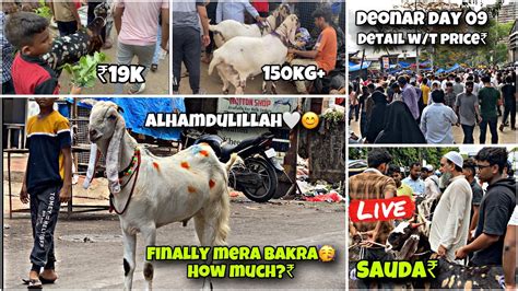 Deonar Bakra Mandi Day Full Update With Price Alhamdulillah