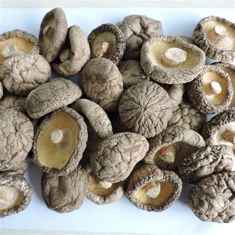 China Dried Shiitake Mushroom G G G G China Dried