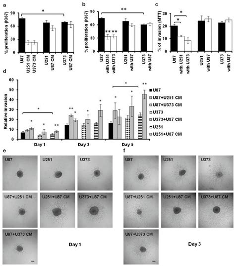 Proliferation And Invasion Of The U87 U251 And U373 Gbm Derived Cell