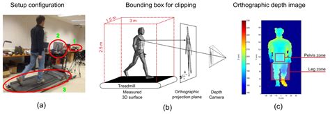 Sensors Free Full Text New Lower Limb Gait Asymmetry Indices Based