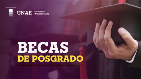 Aprobación Bases De Postulación Becas De Posgrado Maestría En Educación Con Mención En Prácticas