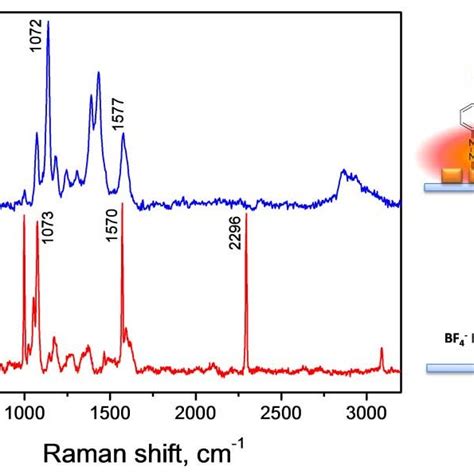 Raman Spectrum Of Ds Red And Sers Spectrum Of The Ds Based Gns