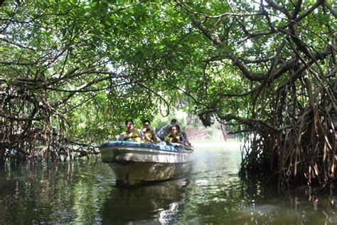 Boat Safaris Ceylon Leisure Discover The Best Of Sri Lanka