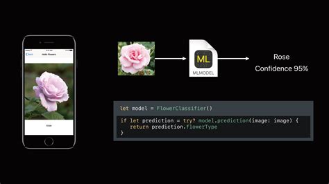 Core Ml And Vision Framework On Ios 11 Yulingtianxias Blog