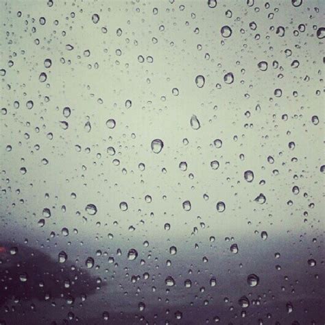 Al fin llueve | Paisajes, Llover