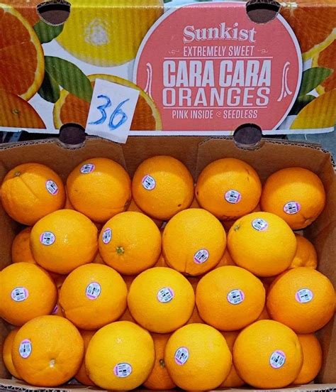 sunkist oranges  jordan biddle blog
