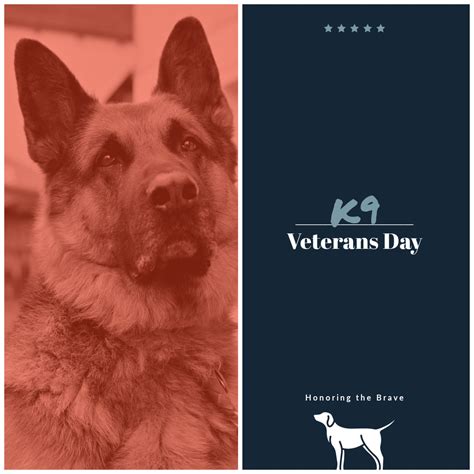 Blue Cross Animal Hospital | Minneapolis MN