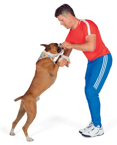 Tricktionary – Dog Tricks Dictionary – Do More With Your Dog!