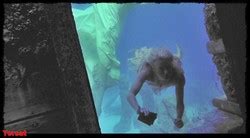 Multi Daryl Hannah Splash Tits Butt Hd P Phun Org Forum