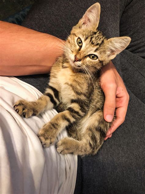 Got woken up this morning to my dog whining, turns out my father just brought home a new member