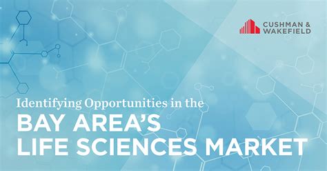 Identifying Opportunities In The Bay Areas Life Science Market