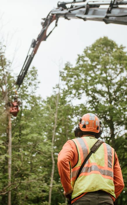 Projects Integrity Tree Services