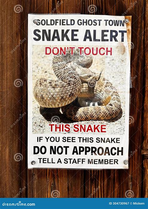 Dramatic Rattlesnake In The S-shaped Pose Stock Image | CartoonDealer