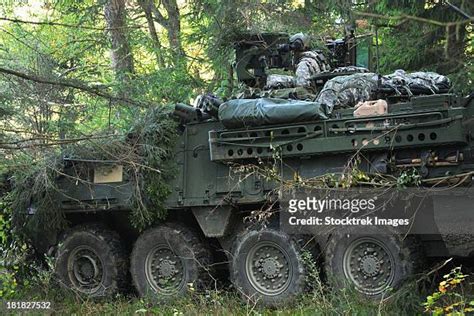 406 Stryker Armored Vehicle Stock Photos, High-Res Pictures, and Images - Getty Images