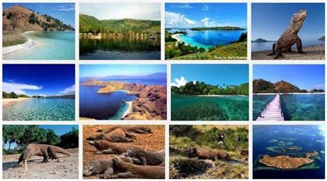 Pesona Wisata Indonesia Pulau Komodo Tempat Wisata Indonesia Sexiz Pix