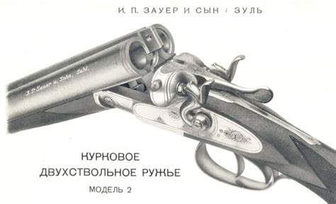 16 калибр – обзор патронов, характеристика, размер, диаметр