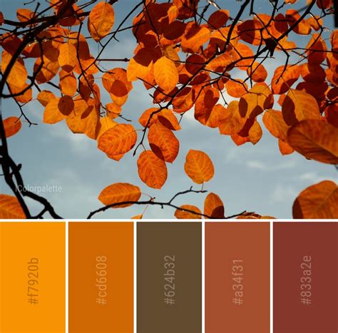 21 Shades Of Orange Color Palette Offeo