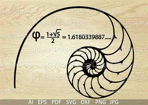 Fibonacci Spiral Vector