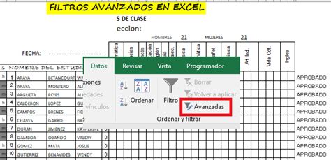 Aprenda A Usar Correctamente Los Filtros Avanzados En Excel Para Copiar