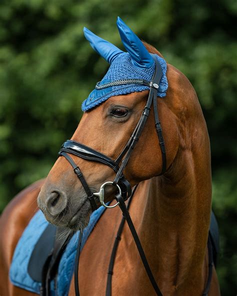 Qhp Summer Glow Velvet Earnet Bonnet Pimp My Pony