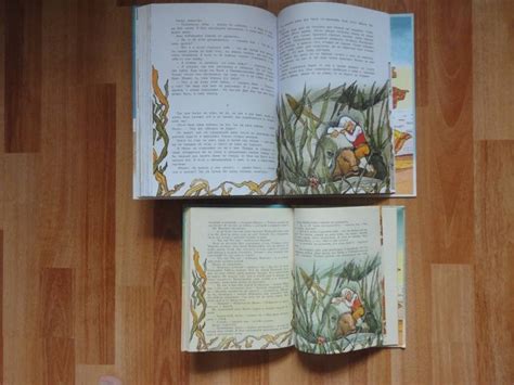 Книга: Чудесное путешествие Нильса с дикими гусями - Сельма Лагерлеф ...