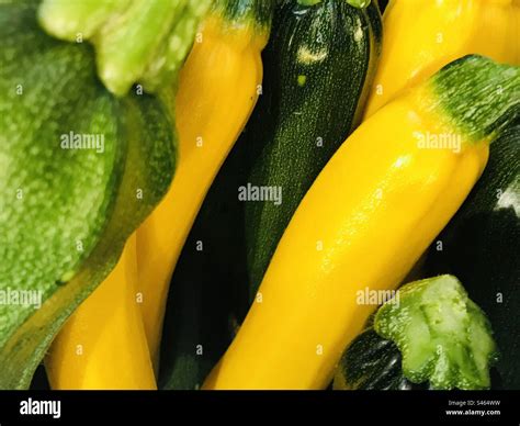 Yellow And Green Courgettes Stock Photo Alamy