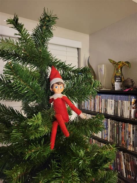 elf on the shelf net worth 2022